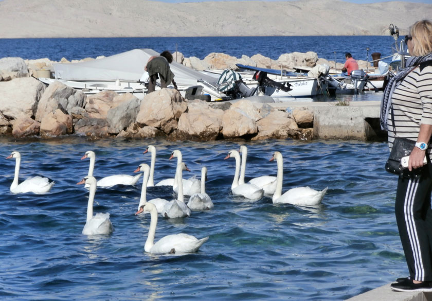 obiteljski odmor zadar